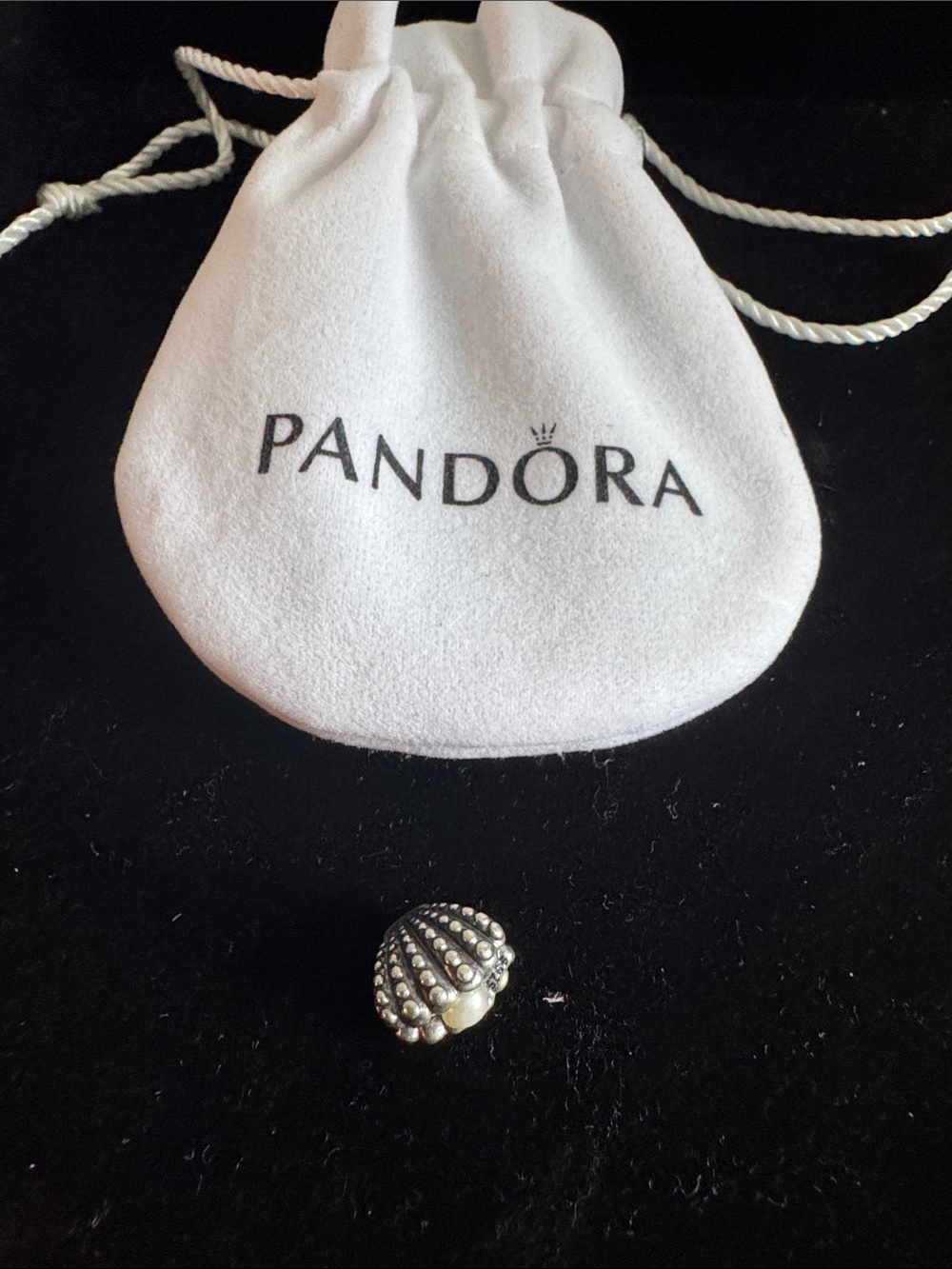 Pandora Silver Charm Bracelet with Assorted Silver Charms bundle - Picture 4 of 11